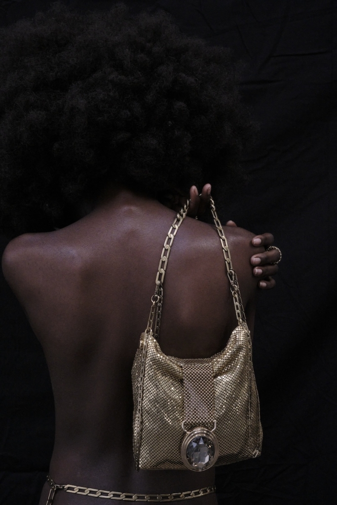 GOLDIE HandStrap Bag