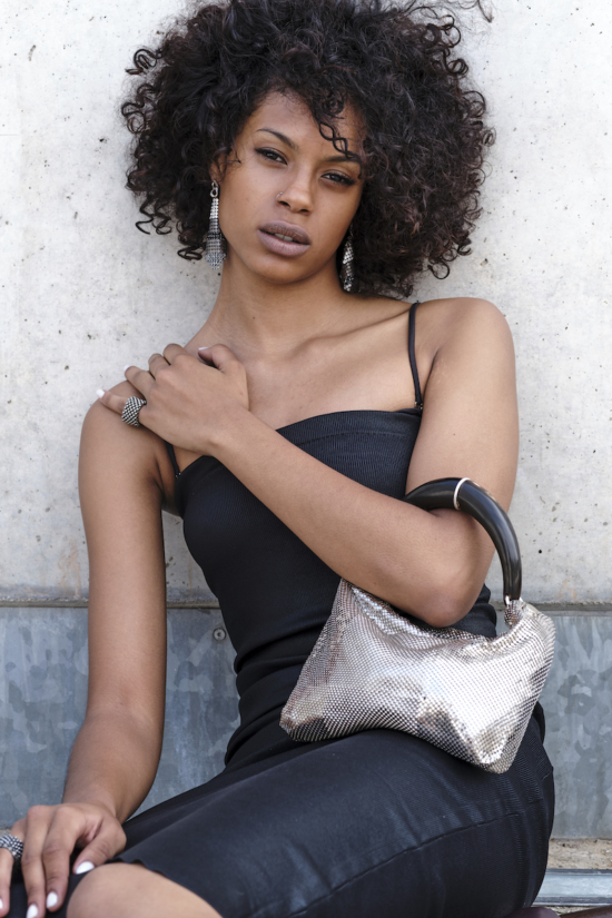 Silvie Horn Handbag